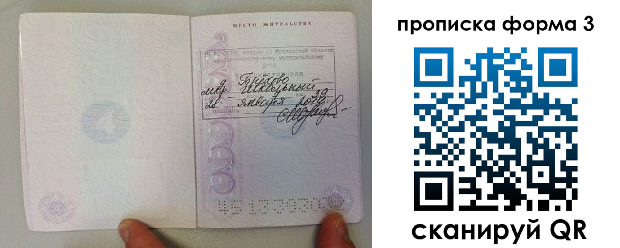 прописка гарантия в Похвистнево